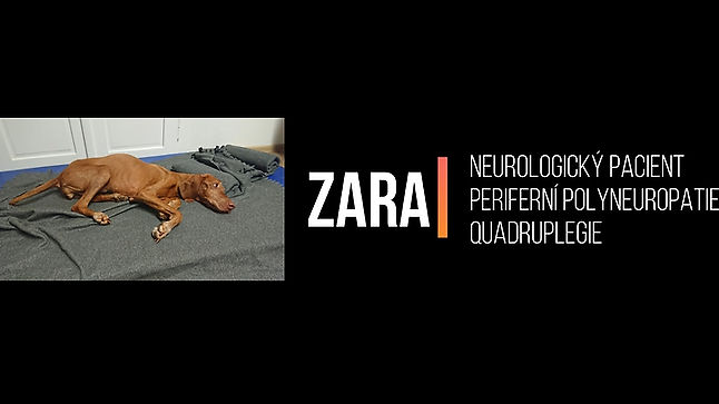 Zara - periferní polyneuropatie